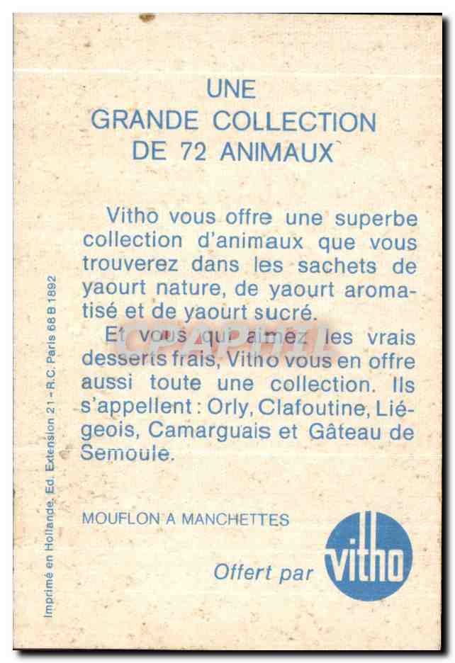 Image Animaux Bouquetin — Verso