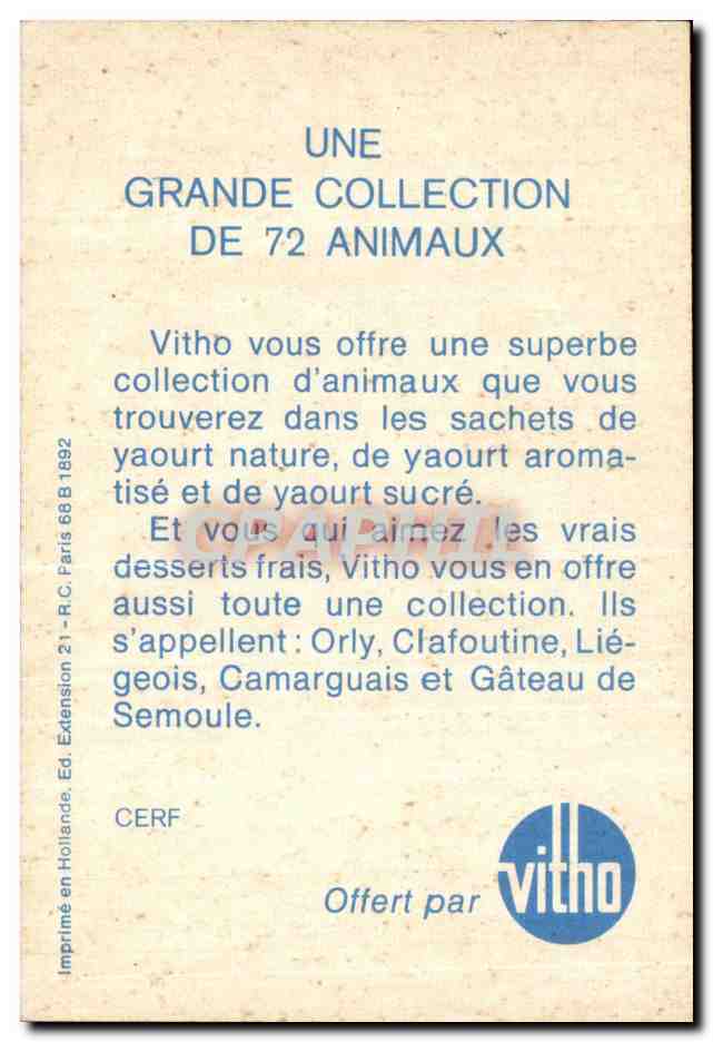 Image Cerf — Verso