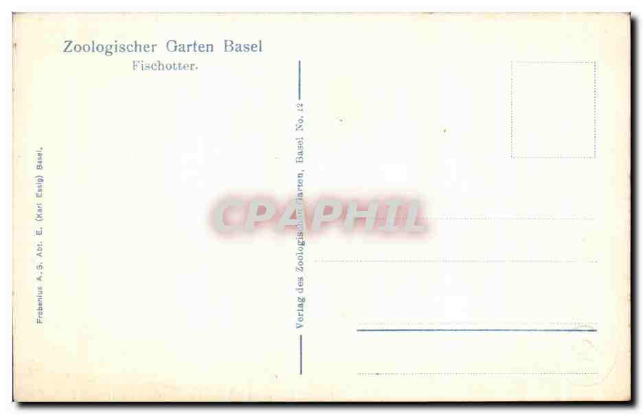 CPA Zoologischer Garten Basel Fischotter Loutres — Rückseite