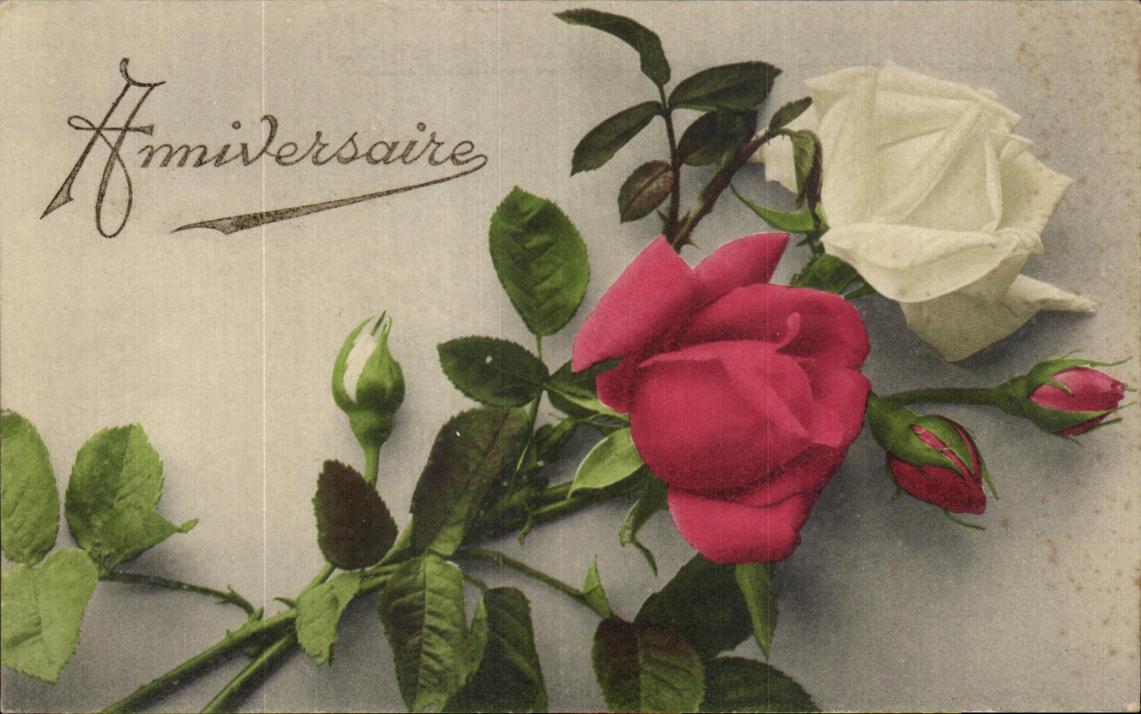 CPA Fantaisie Fleur Anniversaire