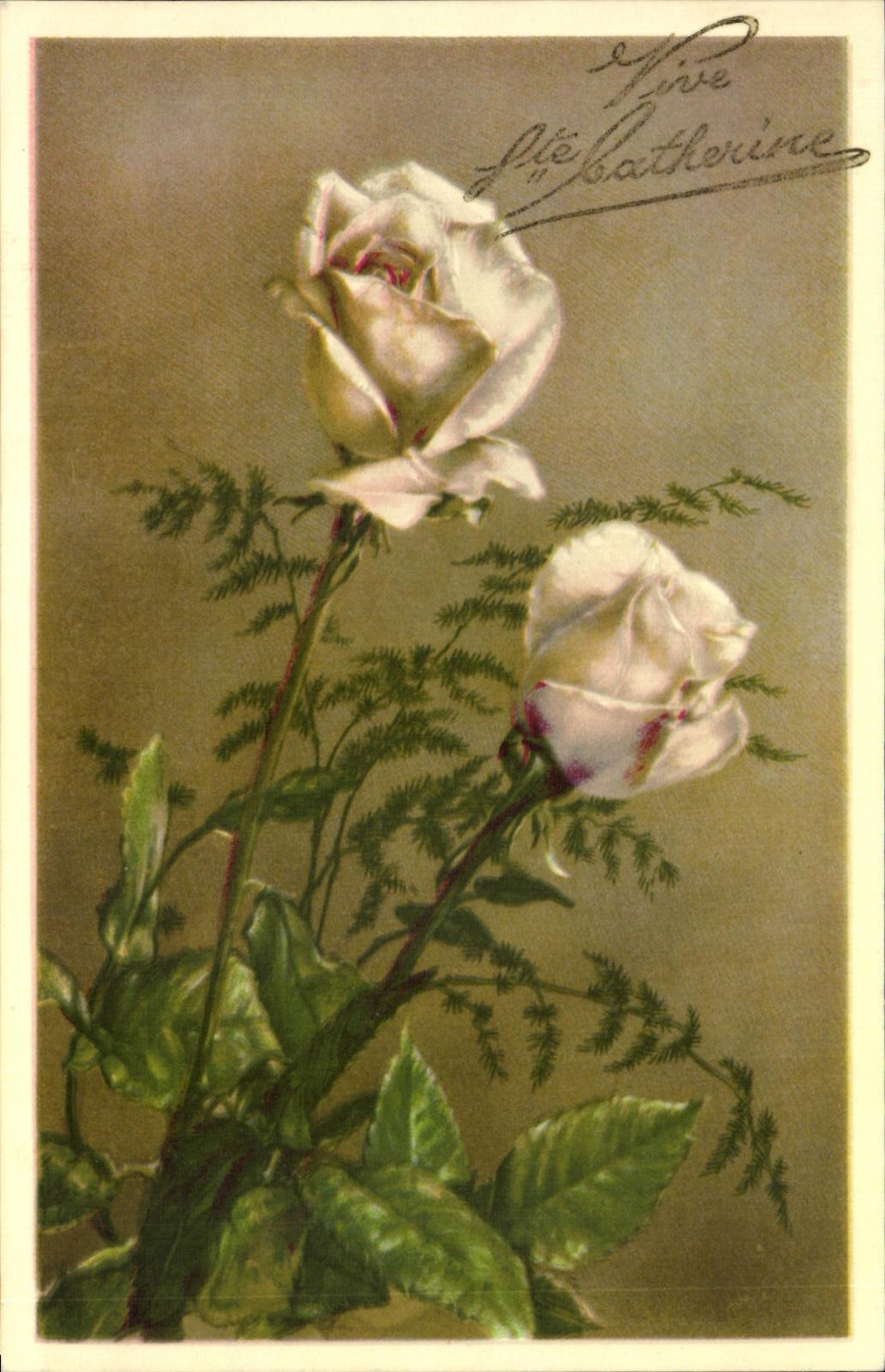 CPA Fantaisie Fleurs Ste Catherine 