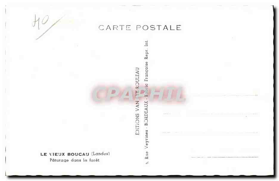 CPA Le Vieux Boucau Paturage dans la Foret Moutons — Rückseite