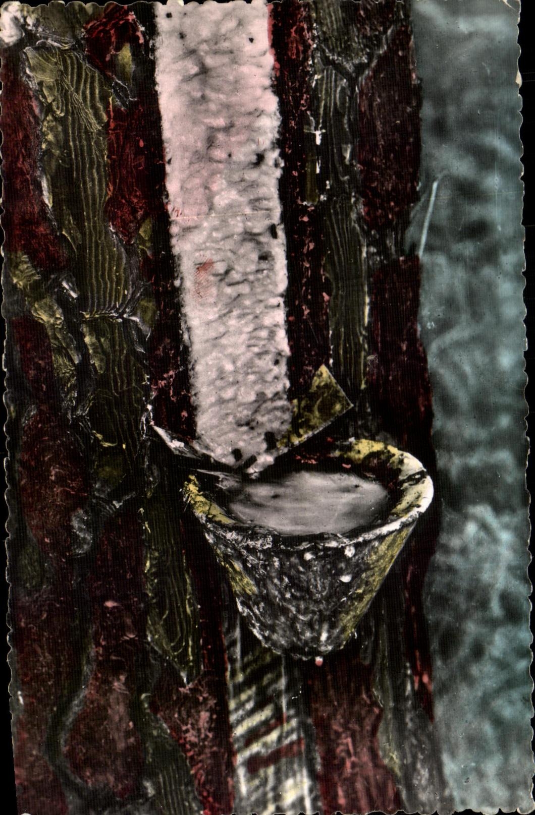Forêt de résine — Pot de résine — Éditions Van Eeckhout