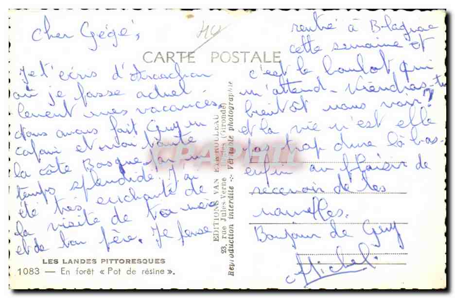 Forêt de résine — Pot de résine — Éditions Van Eeckhout — Verso