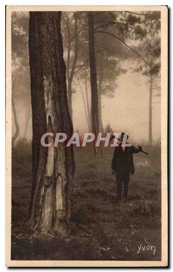 CPA Landes La gemmeur bourreau des grands pins 