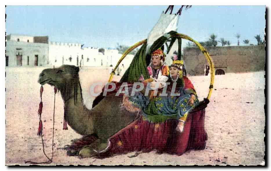 CPSM Afrique du Nord Scenes et types Fathma et Aicha en promenade Camel chameau