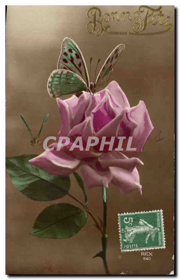 CPA Fantaisie Fleurs Papillon Butterfly