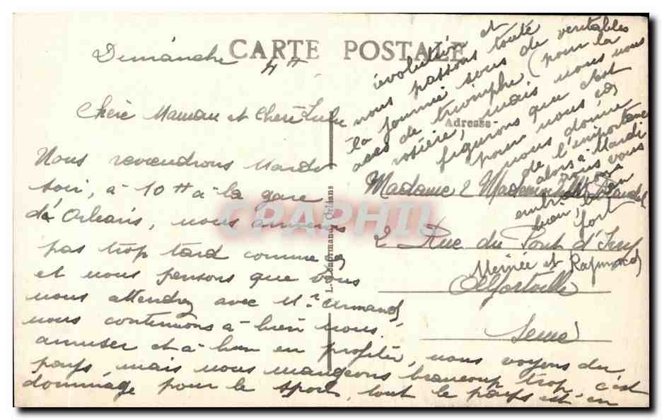 Mehun-sur-Yèvre (Cher) — Le Torri del Castello di Carlo VII (XVe secolo) — Verso