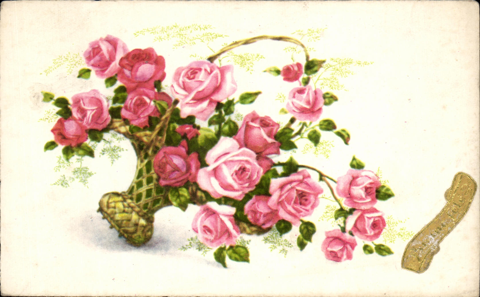 CPA Fleurs Plantes et Arbres