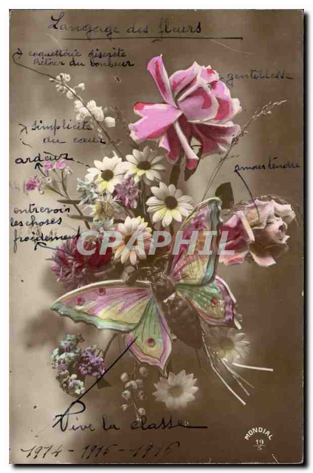 CPA Fleurs Papillon Butterfly