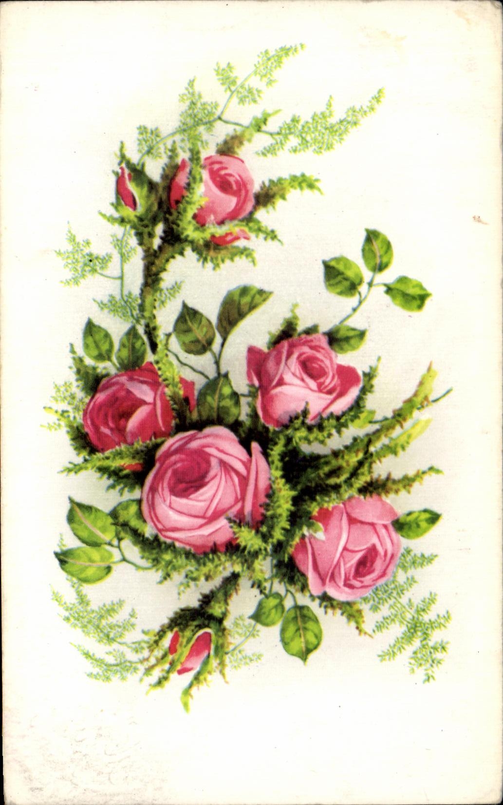 CPA Fleurs Plantes et Arbres
