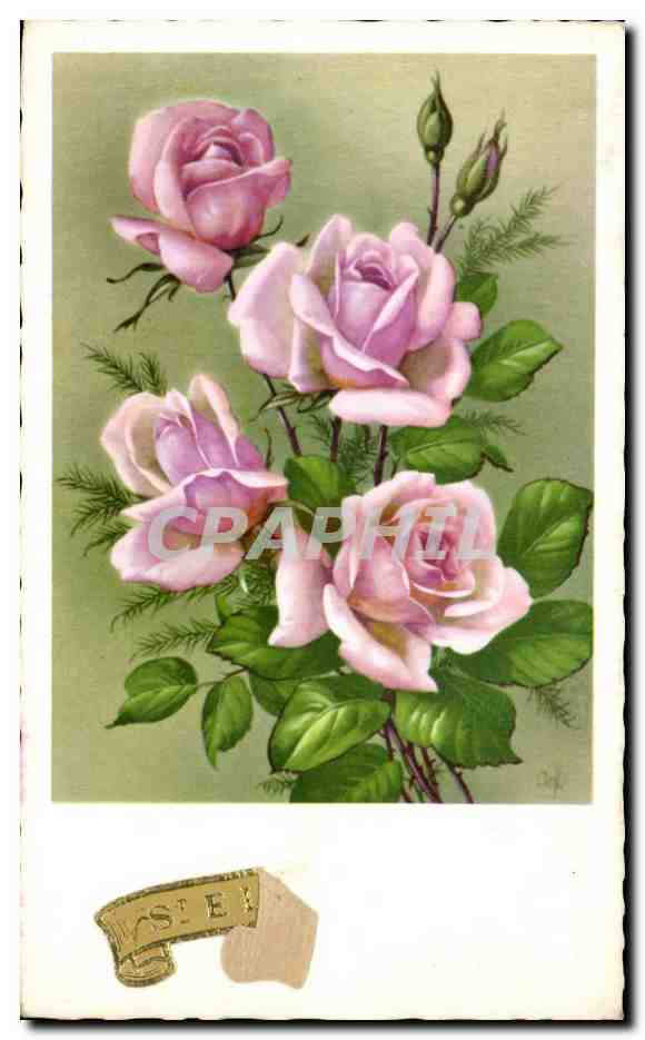 CPA Fleurs Plantes et Arbres
