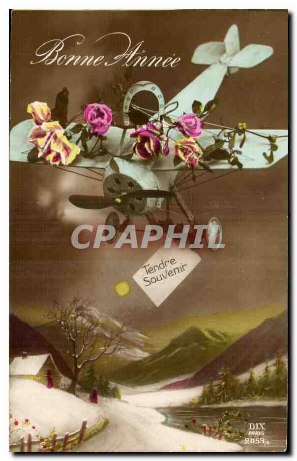 CPA Fantaisie Fleurs Avion