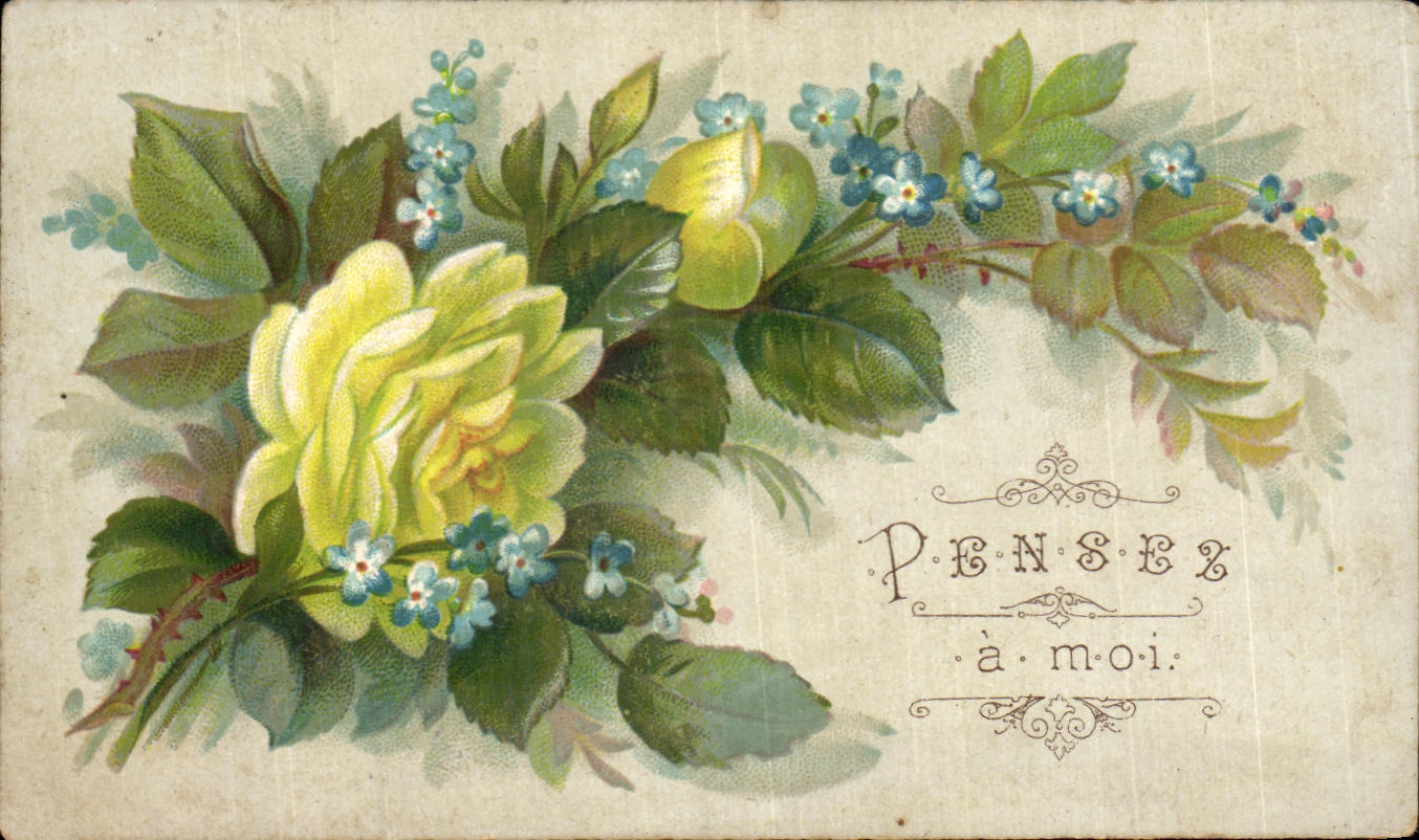 CPA Fantaisie Fleur Pensez a moi