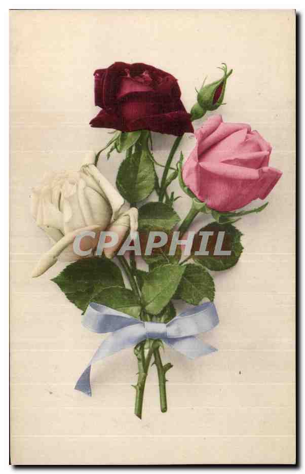 CPA Fantaisie Fleur Roses