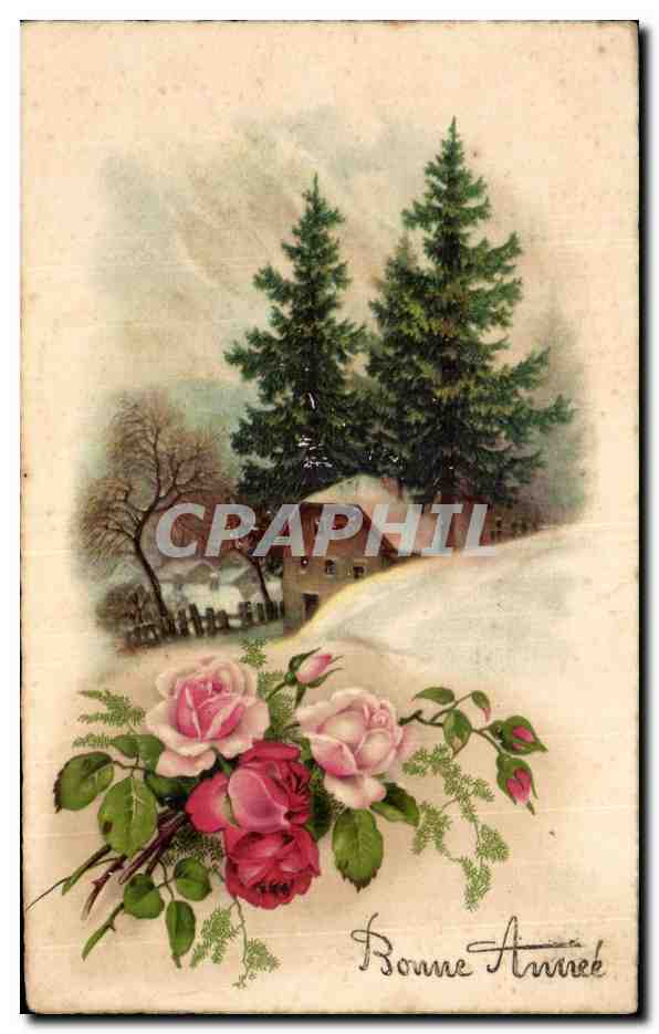 CPA Fantaisie Fleur Bonne Annee