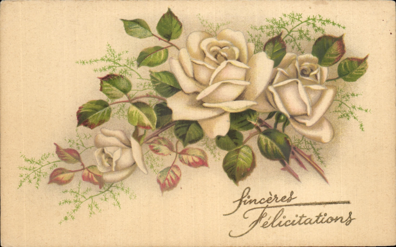 CPA Fantaisie Fleurs Sinceres Felicitations