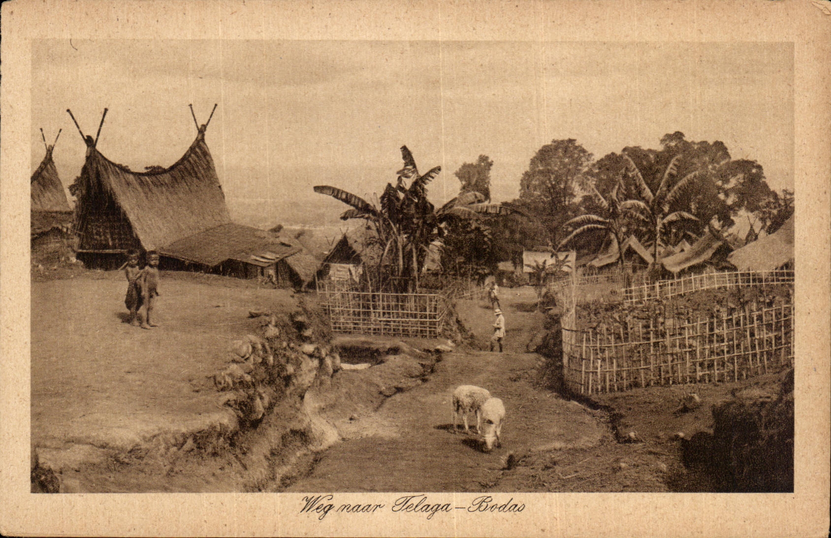 CPA Weg Naar Telaga Bodas Dutch Netherlands Antilles Indonesie Indonesia
