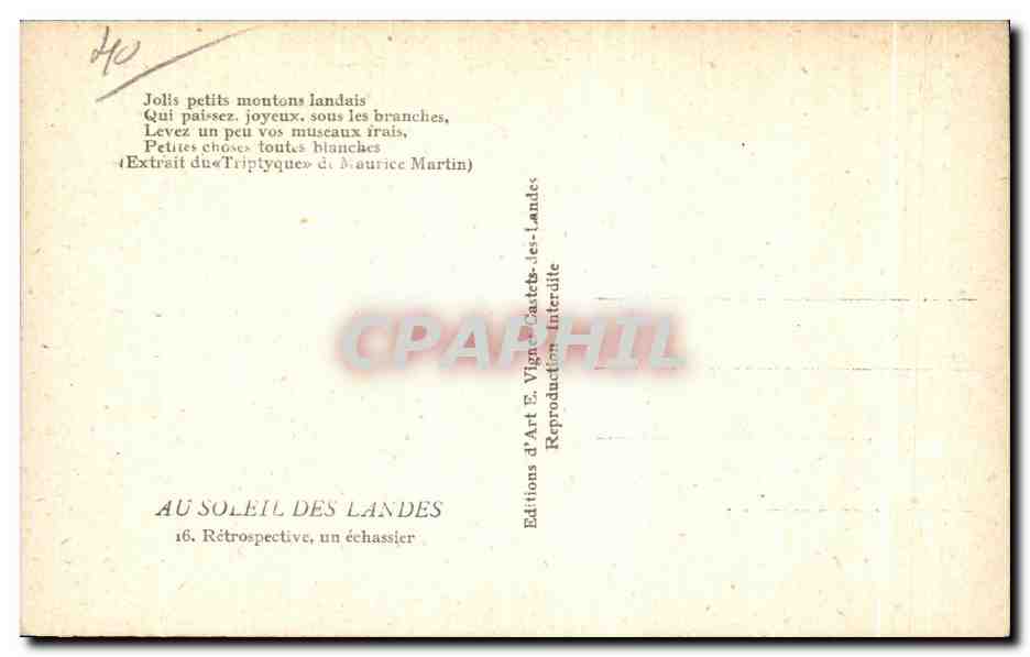 Moutons landais — Au soleil des Landes — Éditions d'Art E. Vignac-Les-Landes — Verso