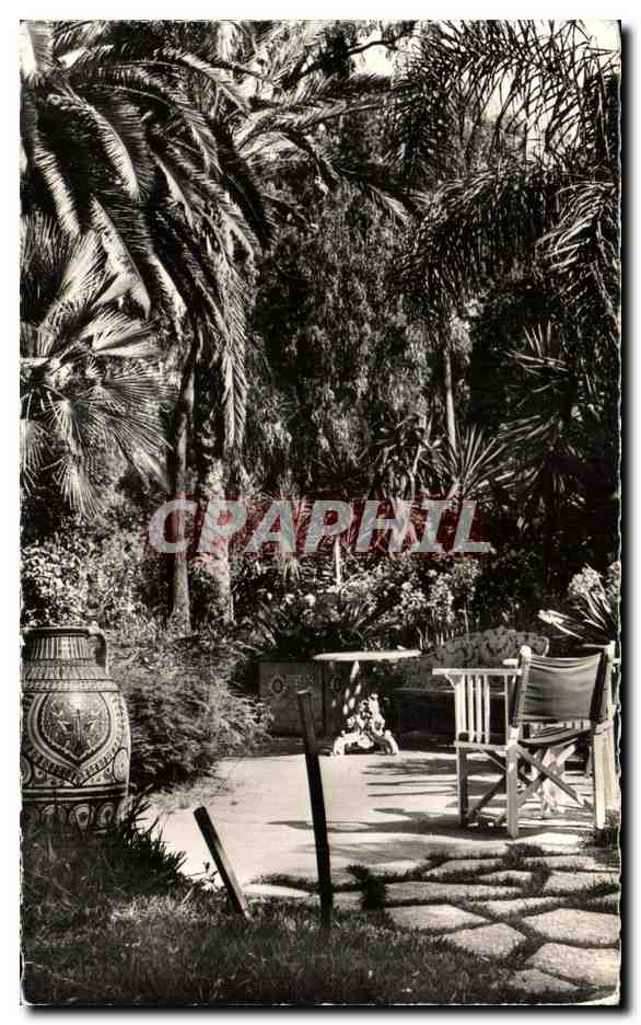 CPA Alger Hotel Saint George Un coin du jardin 