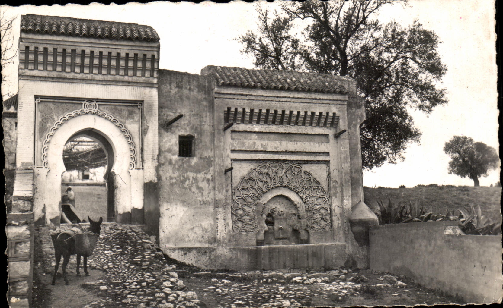 Meknès — Fontaine et Porte sur les Remparts — Édit. La Cigogne, Casablanca