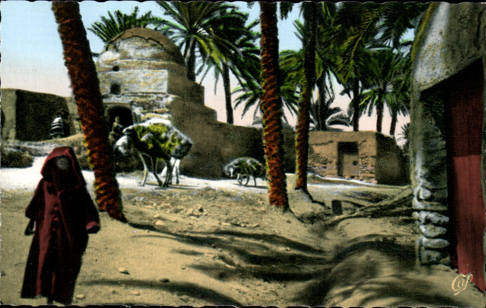 CPA Scenes Et Types Dans L Oasis Chameau Camel