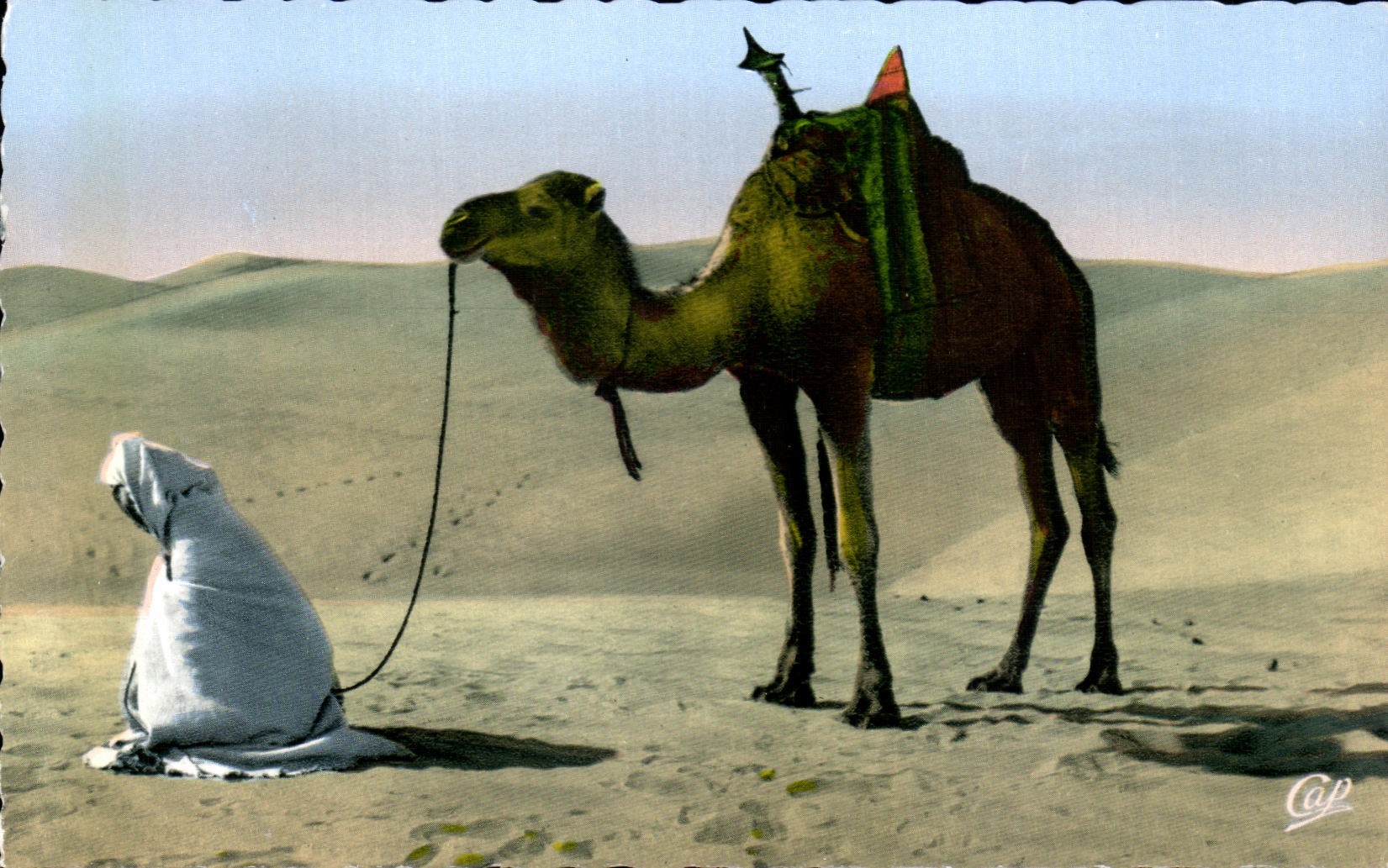 CPA Scenes La Priere au desert Chameau Camel