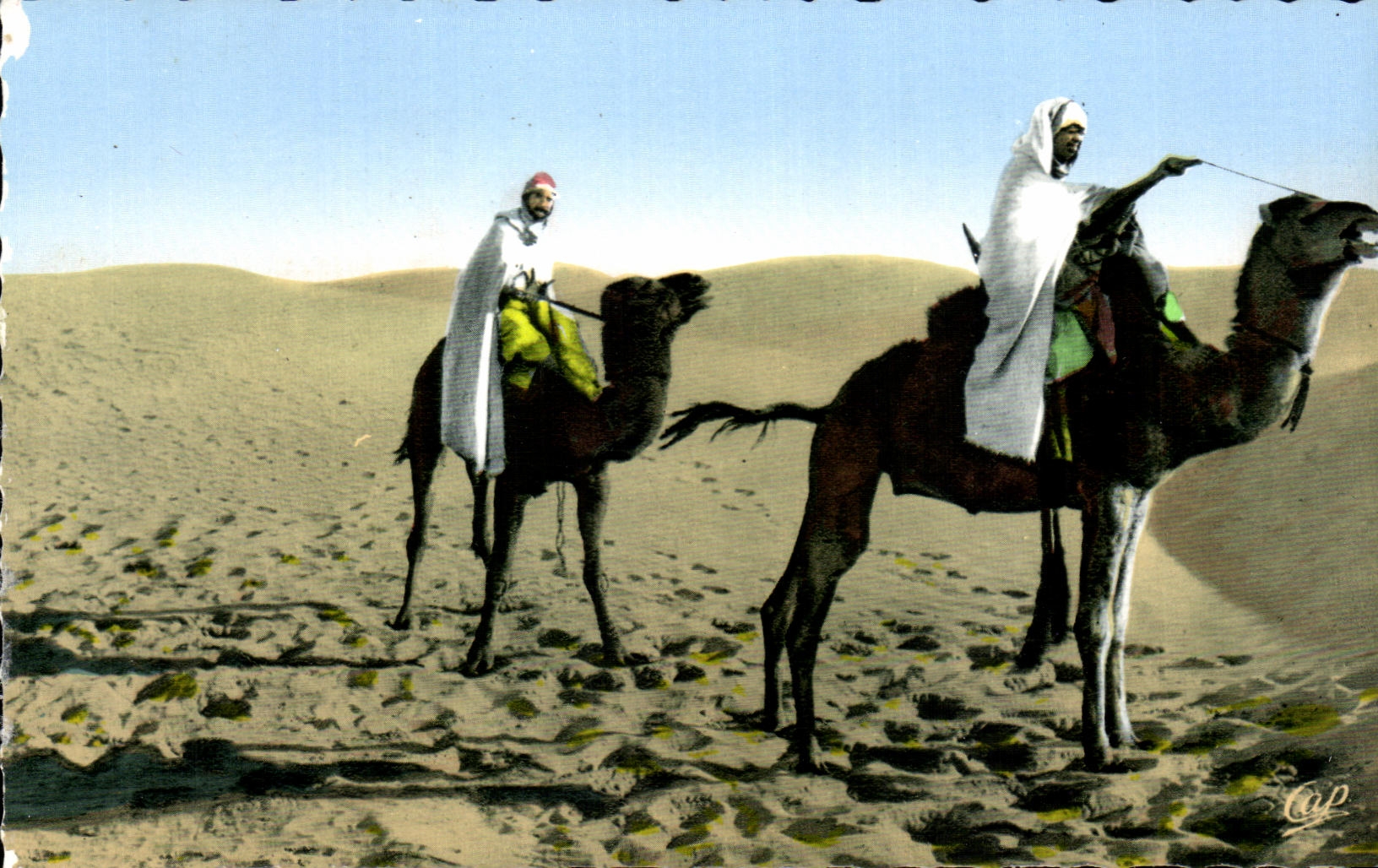 CPA Scenes et Types Meharistes traversant le desert Chameau camel