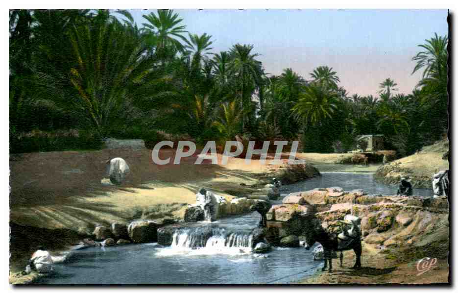 CPA Scenes et Types Un barrage sur L oued Ane Donkey