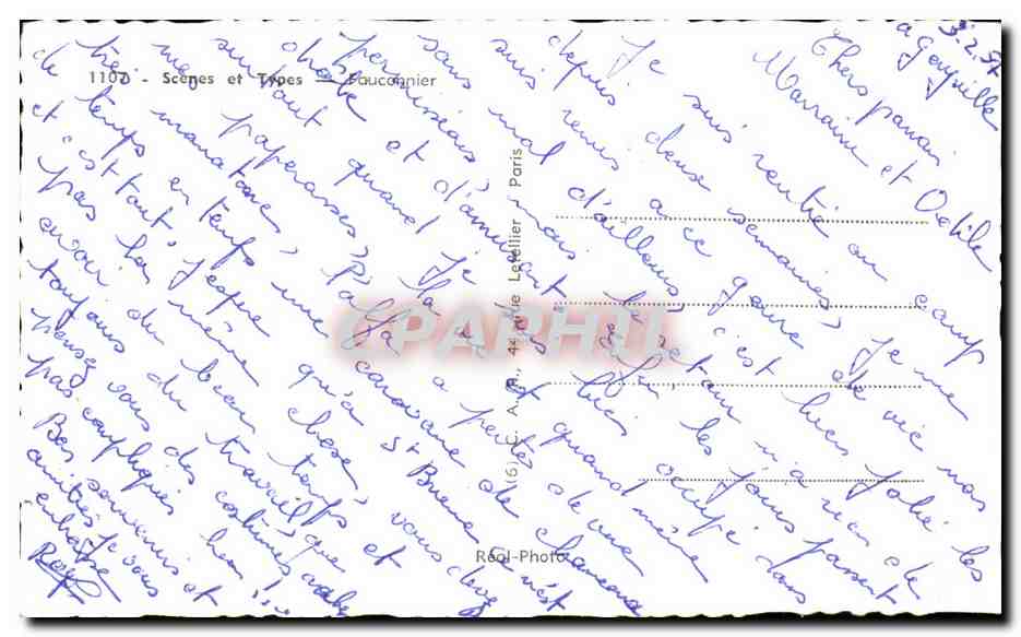 CPA Algerie Le fauconnier Bird of prey Rapace — Rückseite