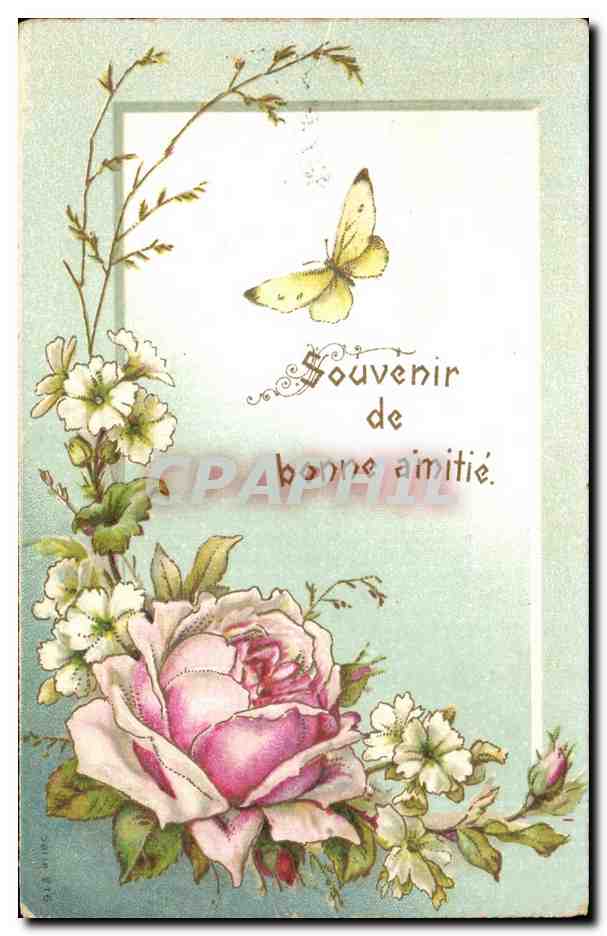 CPA Fantaisie Fleurs ouvenir de Bonne amitie Papillon Butterfly