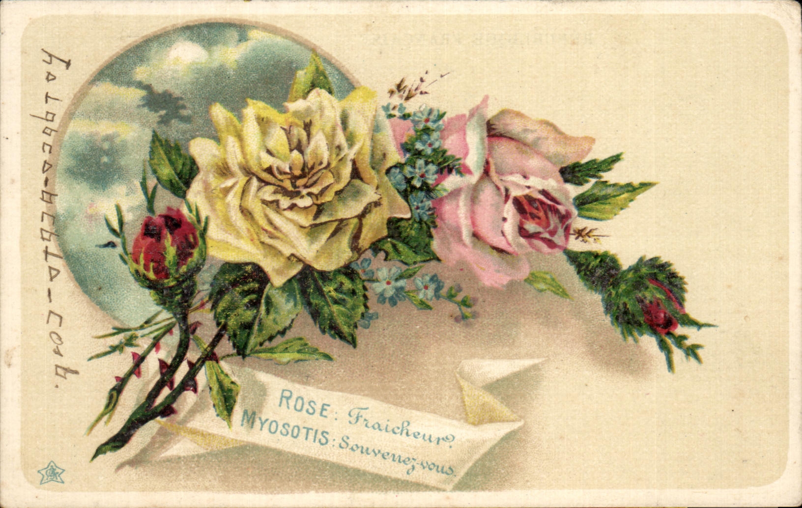 CPA Fantaisie Fleurs Rose Fraicheur Myosotis