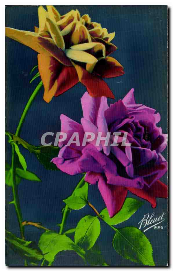 CPA Fantaisie Fleurs Bleuet