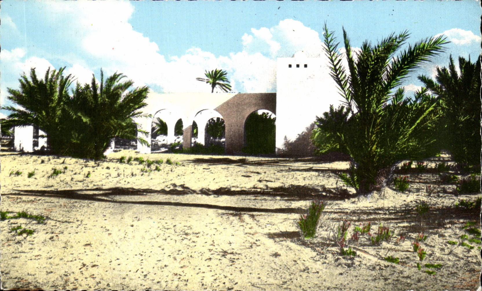 CPA Dierba (Tunisie) Le Club Mediterranee
