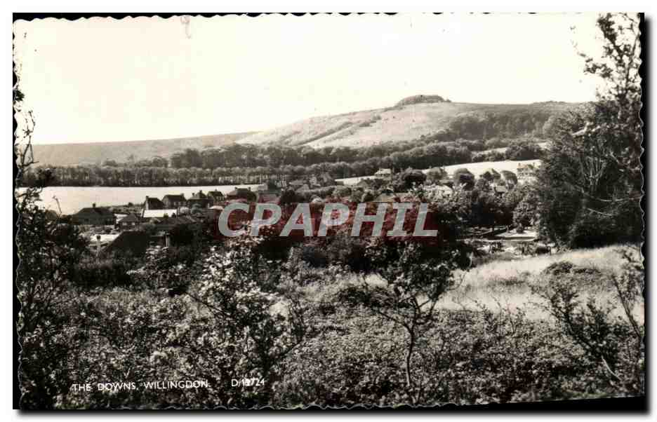 Les Downs de Willingdon — vue panoramique — Norman & Hartness, D/13724