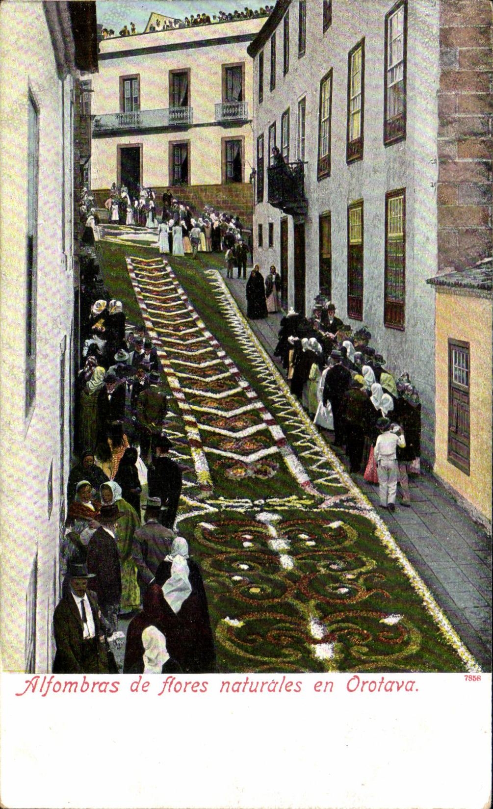 CPA Alfombras de flores naturales en Orotava