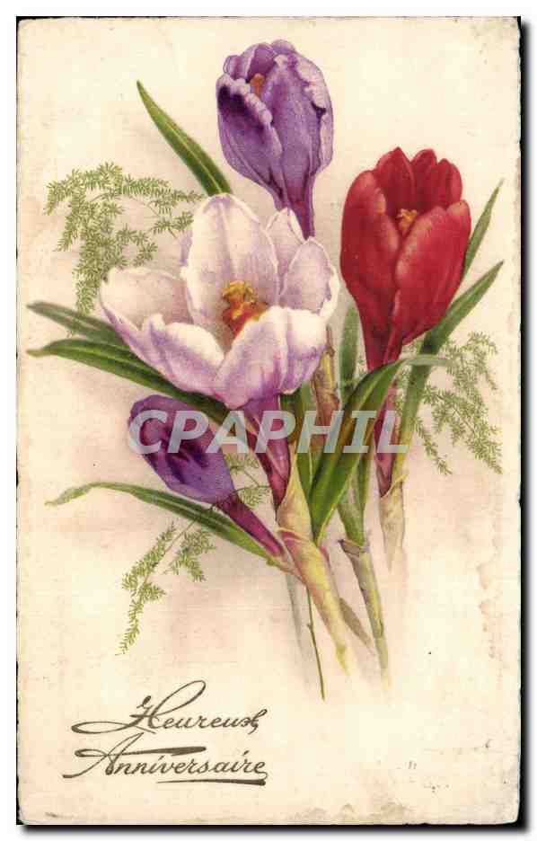 CPA Fantaisie Fleurs Heureuse Anniversaire