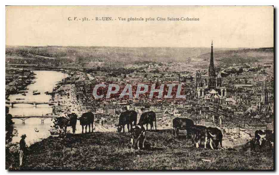 CPA Rouen Vue generale prise Cote Sainte Catherine Vaches