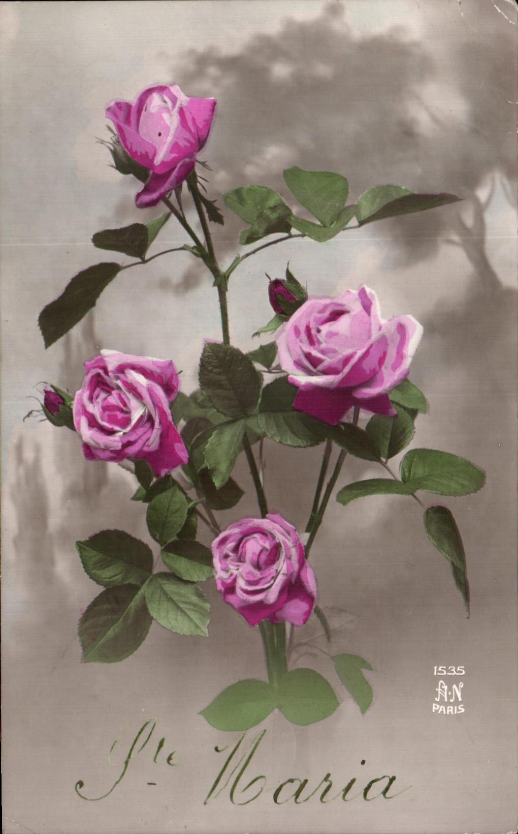 CPA Fantaisie Fleurs Ste Maria