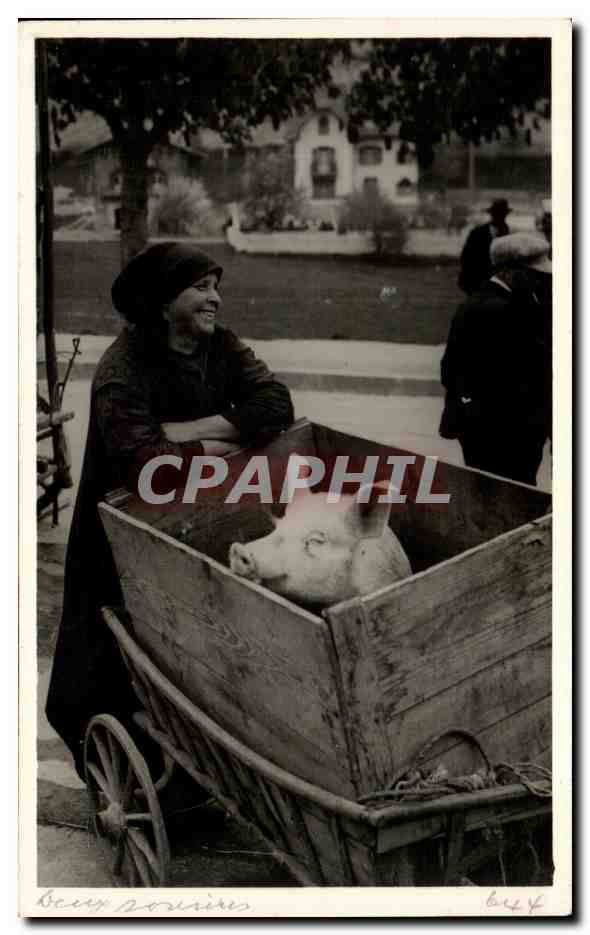 CPA Femme et cochon Pig Folklore 