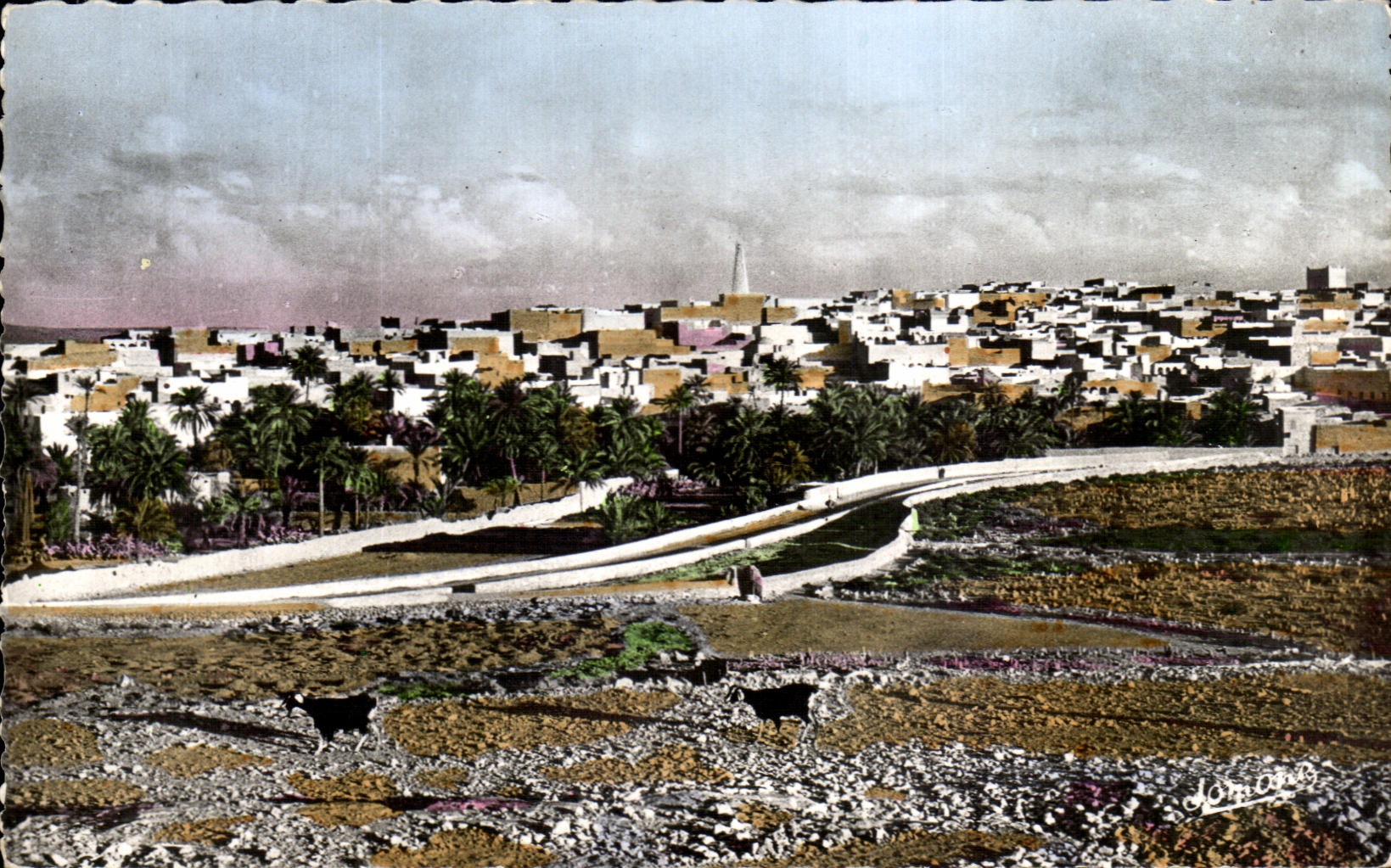 Berrrian (Oasis) — Territoire du Sud — Vue Générale avec son Minaret — Édition Benzait Yalida