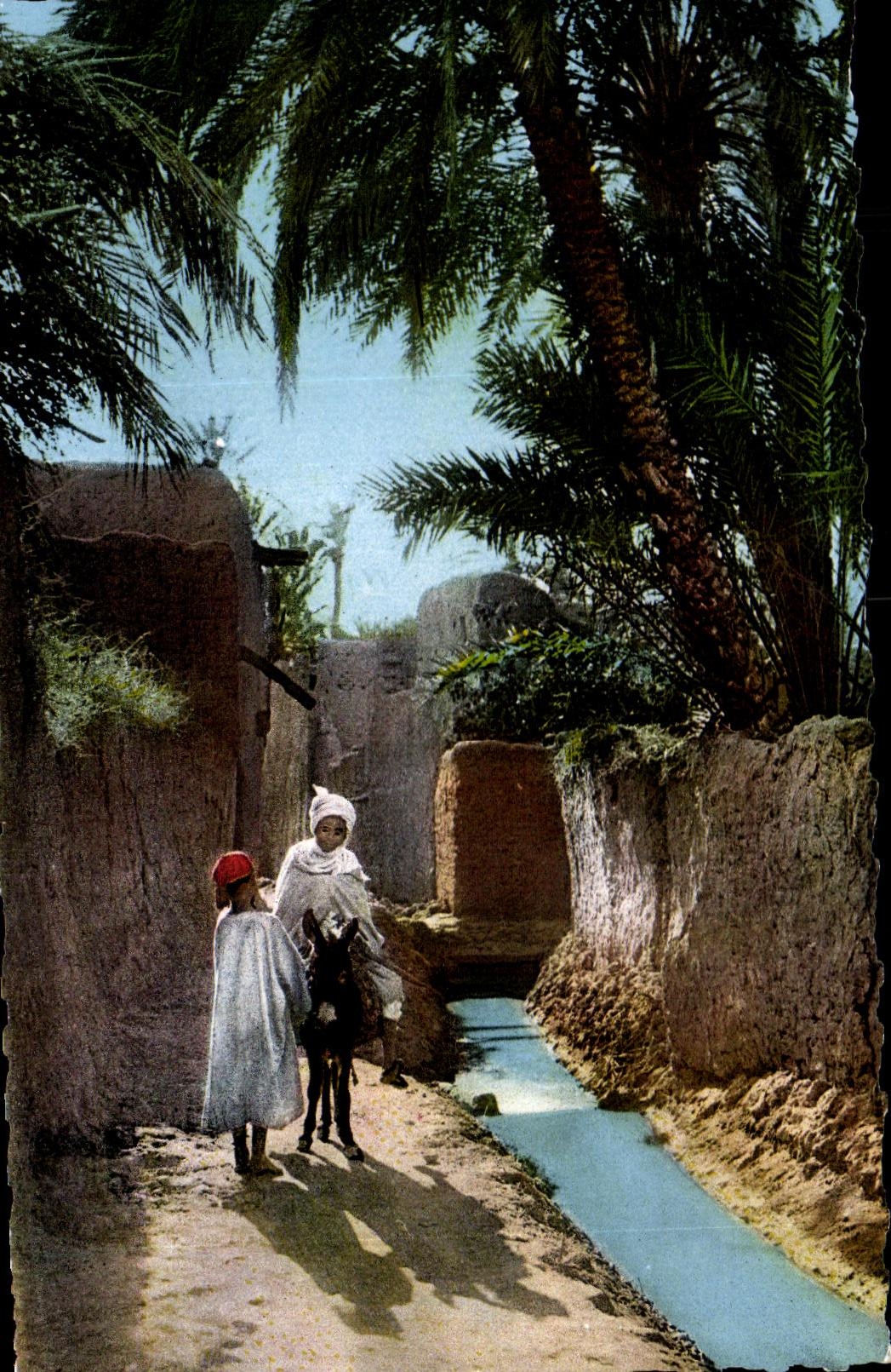 CPA Scenes   Types d Afrique du Nord Sene de Village arabe Ane Donkey