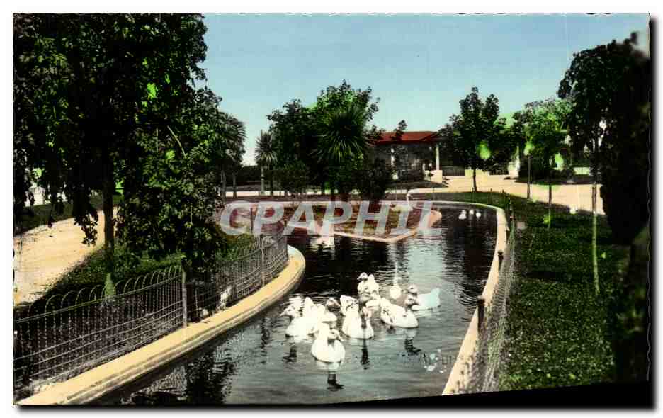 CPA Lugo Parque de Posalfa Castro Esanque Parc de Custro Etang