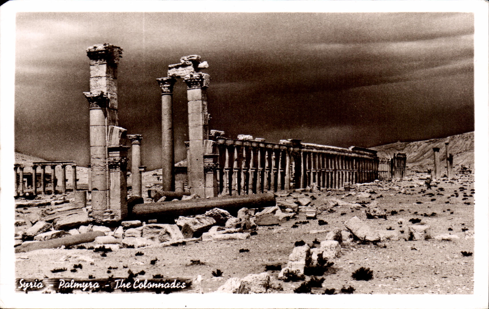 Palmyre - Les Colonnades — Éditeur : Établissements APDO, Avenue Baran, Syrie