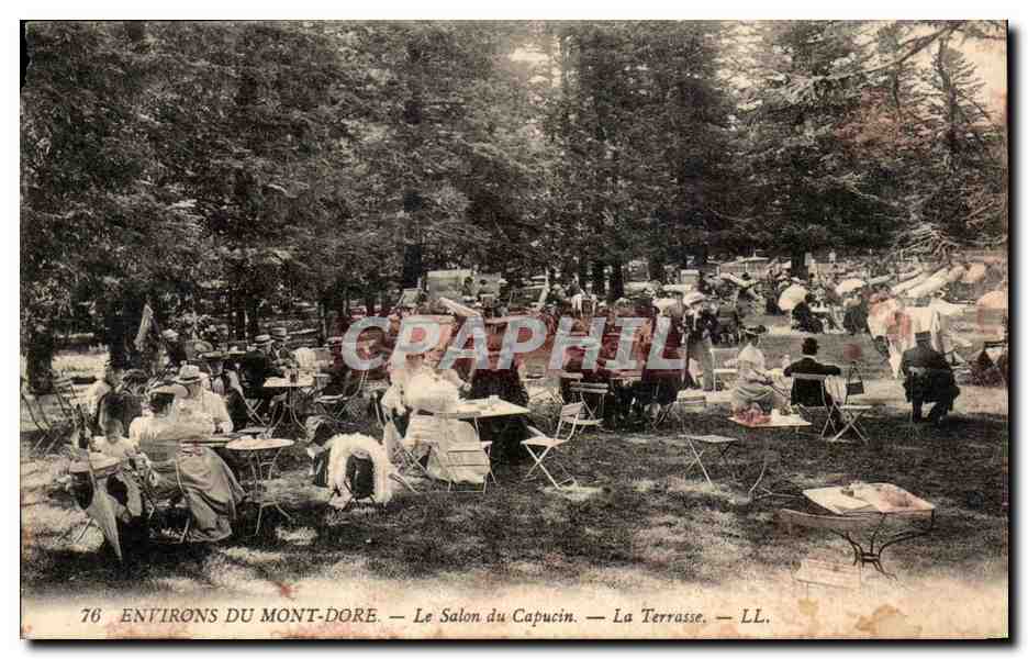 CPA Environs Du Mont Dore Le Salon du Capucin