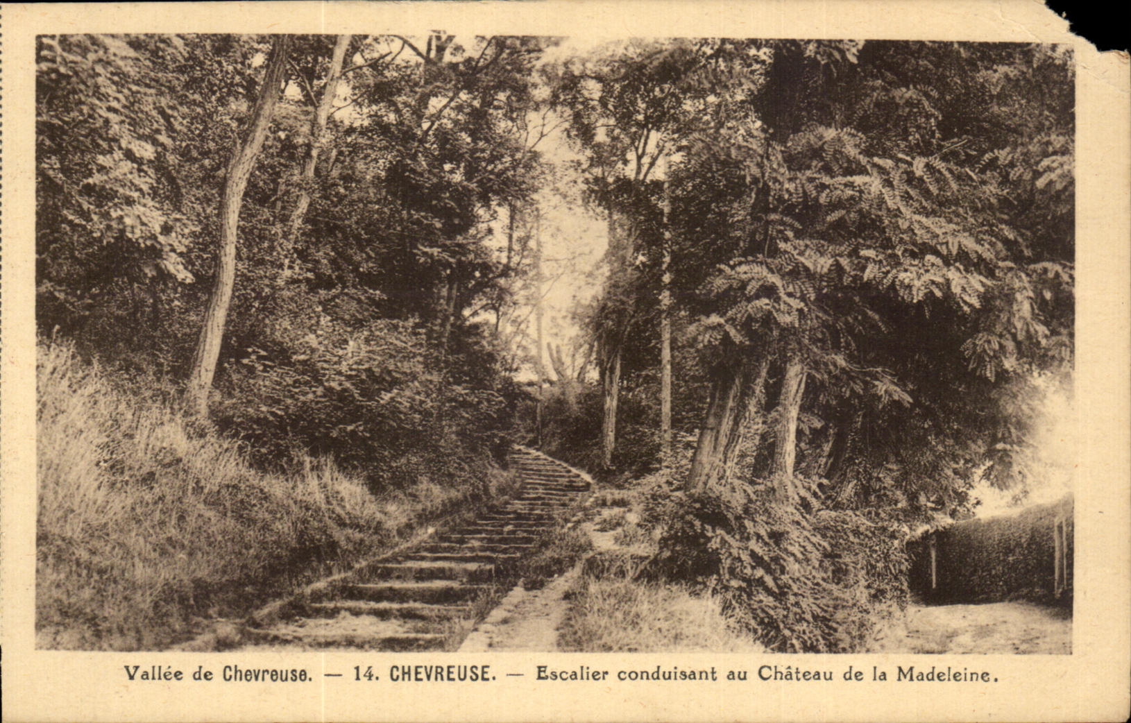 CPA Vallee de Chevreuse Chevreuse Escalier conduisant au Chateau de la Madeleine