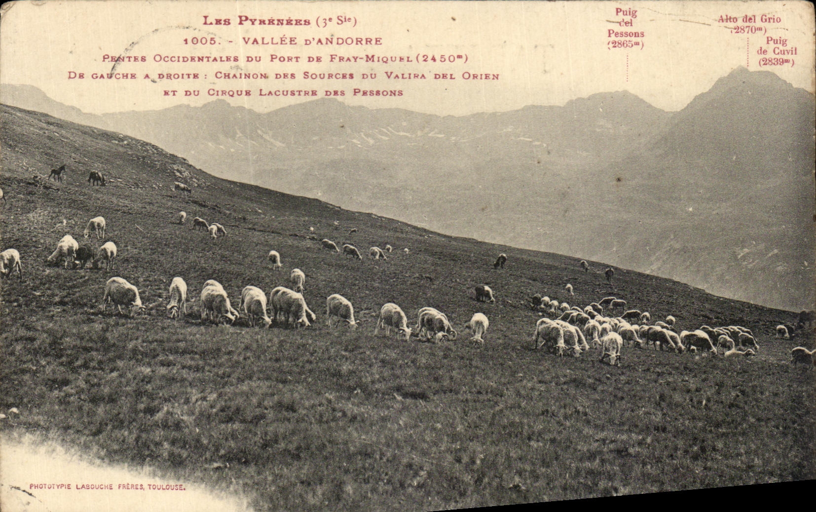 CPA Vallee D Andorre Occidentales Pentes occidentales du Port De Fray Miquel Valira del orien Moutons Sheep