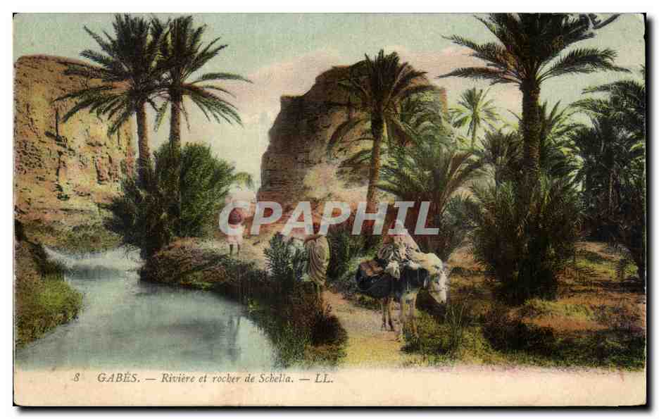 CPA Gabes Riviere et rocher de Sebella Tunisie Ane Donkey