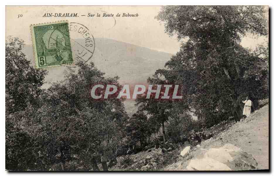 CPA Ain Draham sur la Route de Babouch Tunisie 