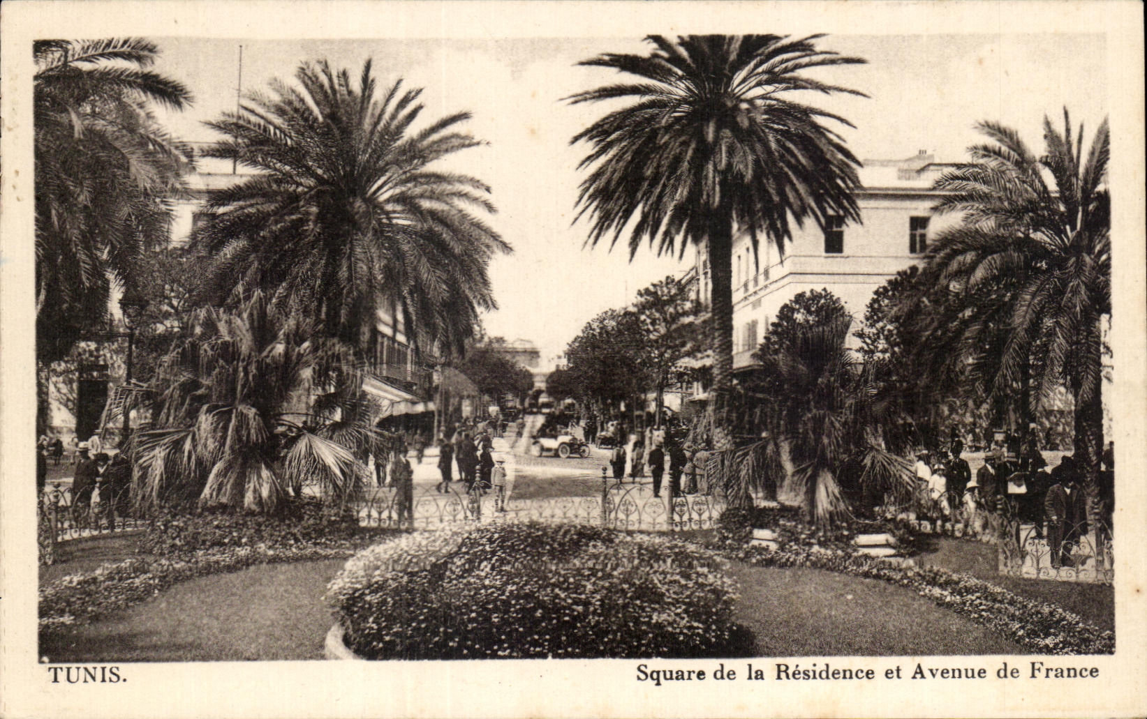 CPA Tunis Square de la Residence et Avenue de France Tunisie 